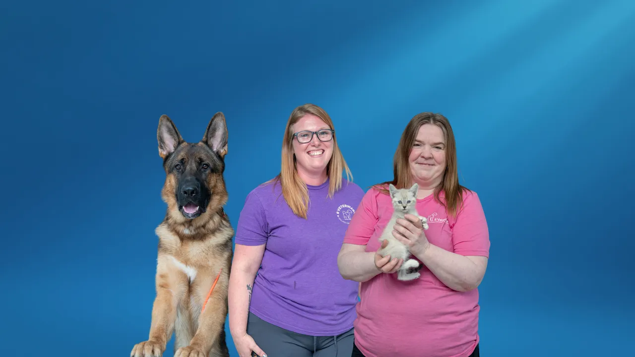 The whole Laurie team